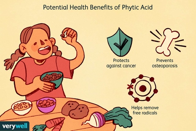 What foods have phytic acid in them