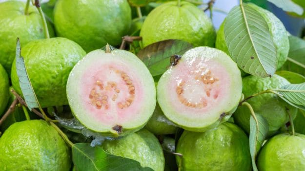 Benefits of Guava leaves sexually